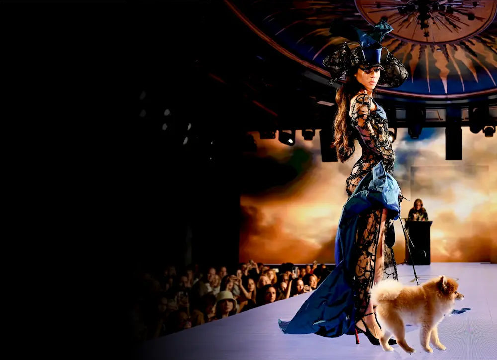 Elysian Catwalk at nyfw september 8th