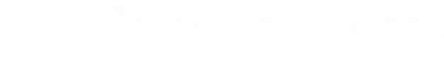 THENEWYORKTIMES
