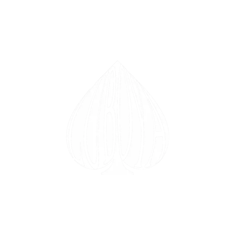 LuBoya logo